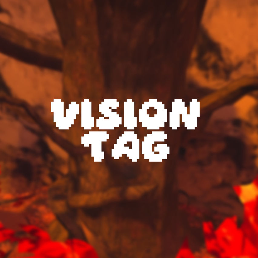 Vision Tag