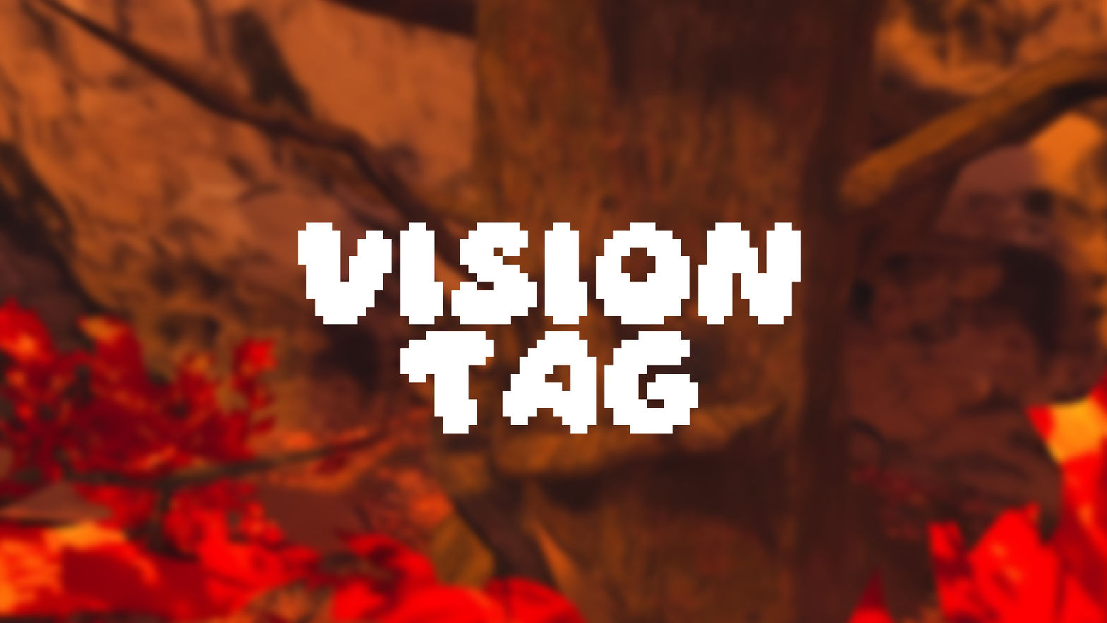 Vision Tag