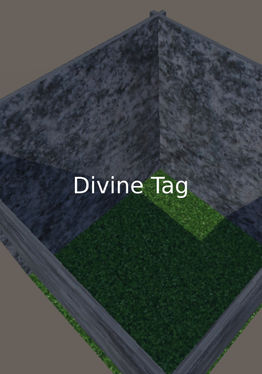 Divine tag