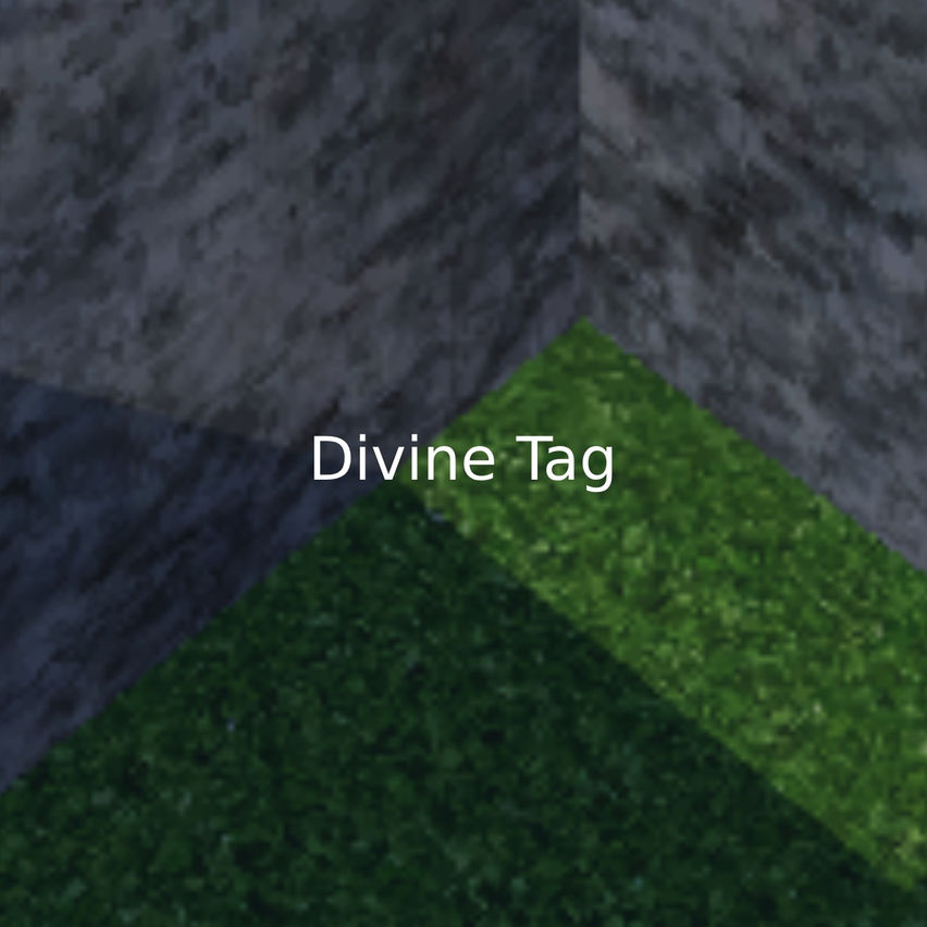 Divine tag