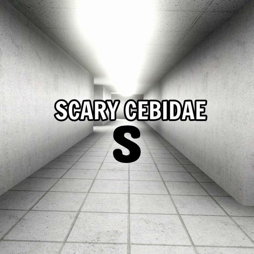 Scary Cebidae