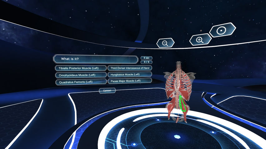 Human Anatomy VR Complete Edition 