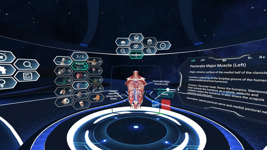 Human Anatomy VR Complete Edition 