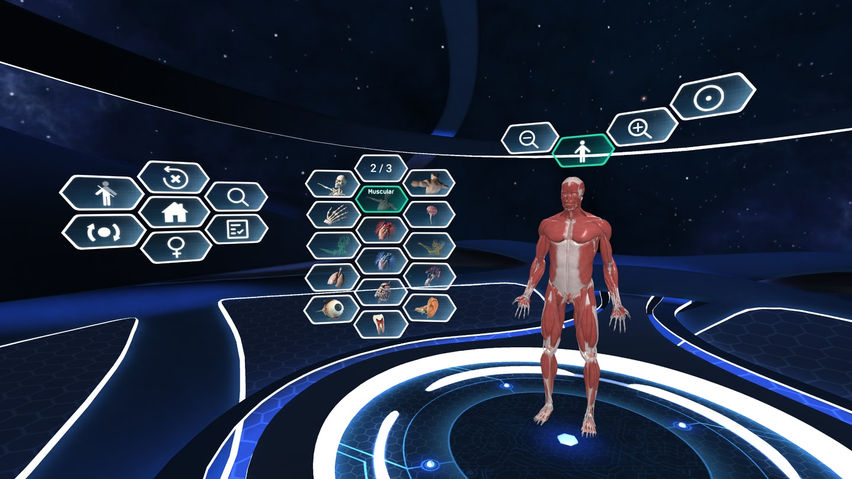 Human Anatomy VR Complete Edition 