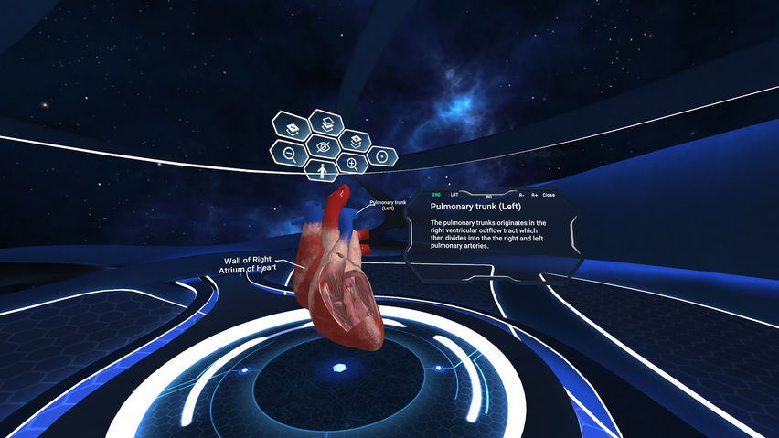 Human Anatomy VR Complete Edition 