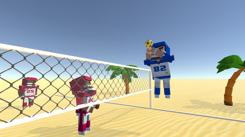 Volleyball Fever