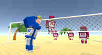 Volleyball Fever