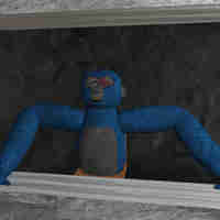 Scared Munki
