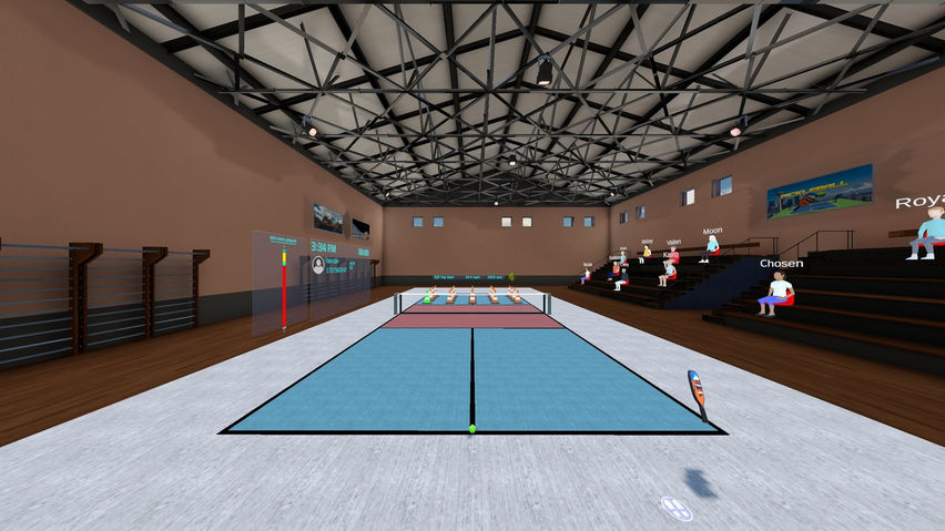 Pickleball Essentials