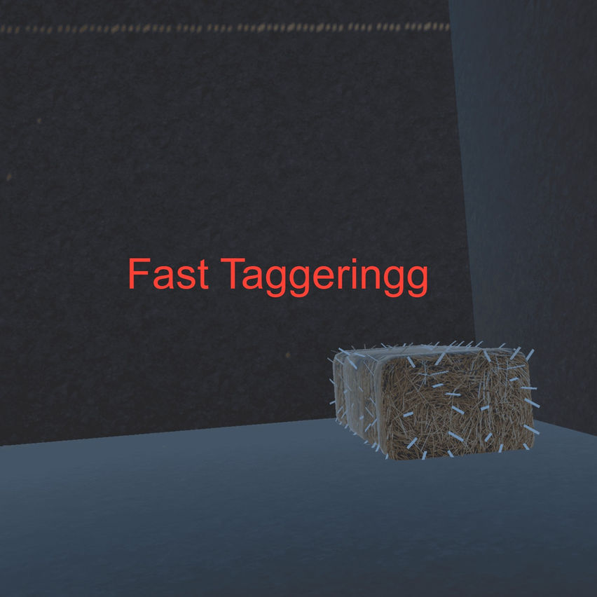 Fast Taggeringg