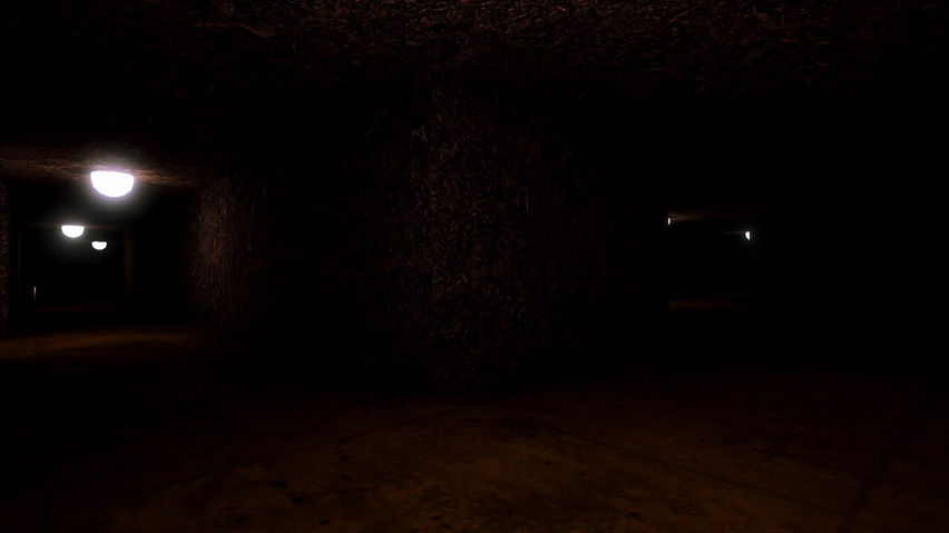 Primal Shadows