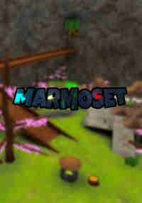 Marmoset VR