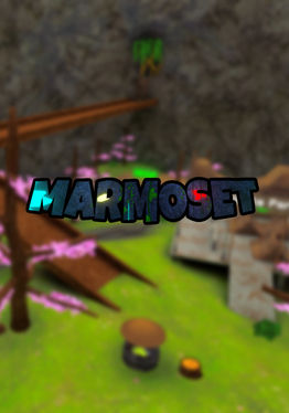 Marmoset VR