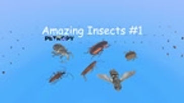 Amazing Insects #1