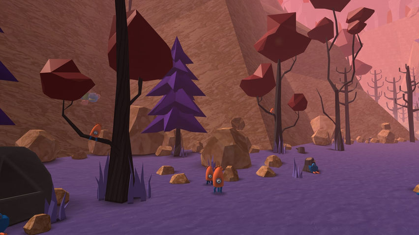 The Valley