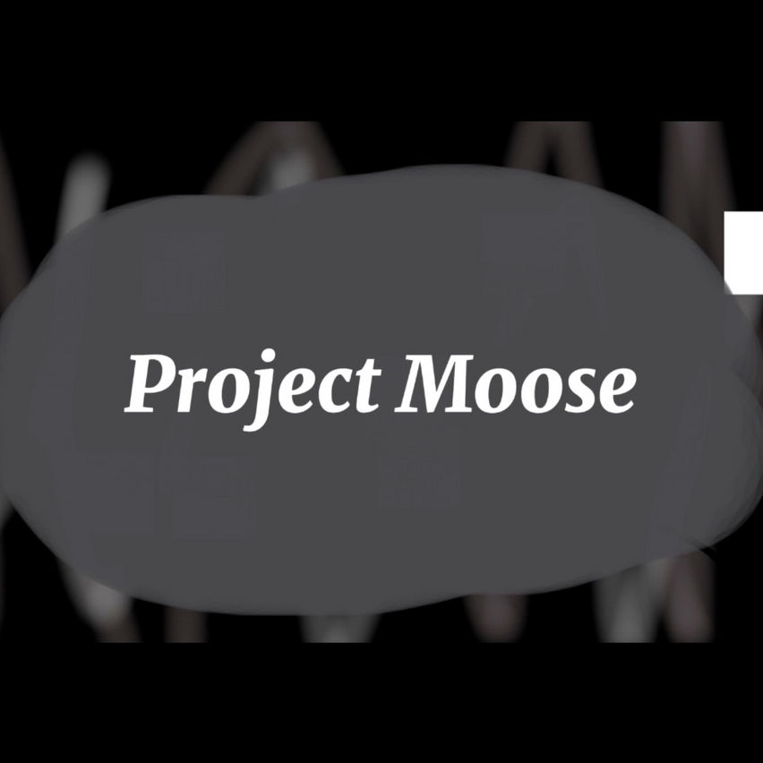 Project Moose V2!