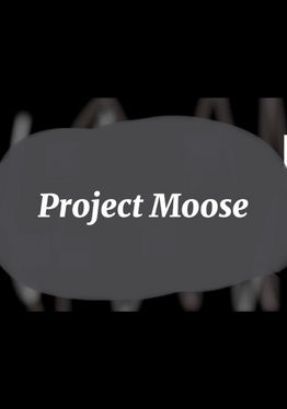 Project Moose V2!