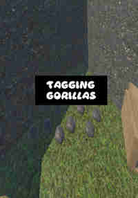 Tagging Gorillas