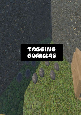 Tagging Gorillas