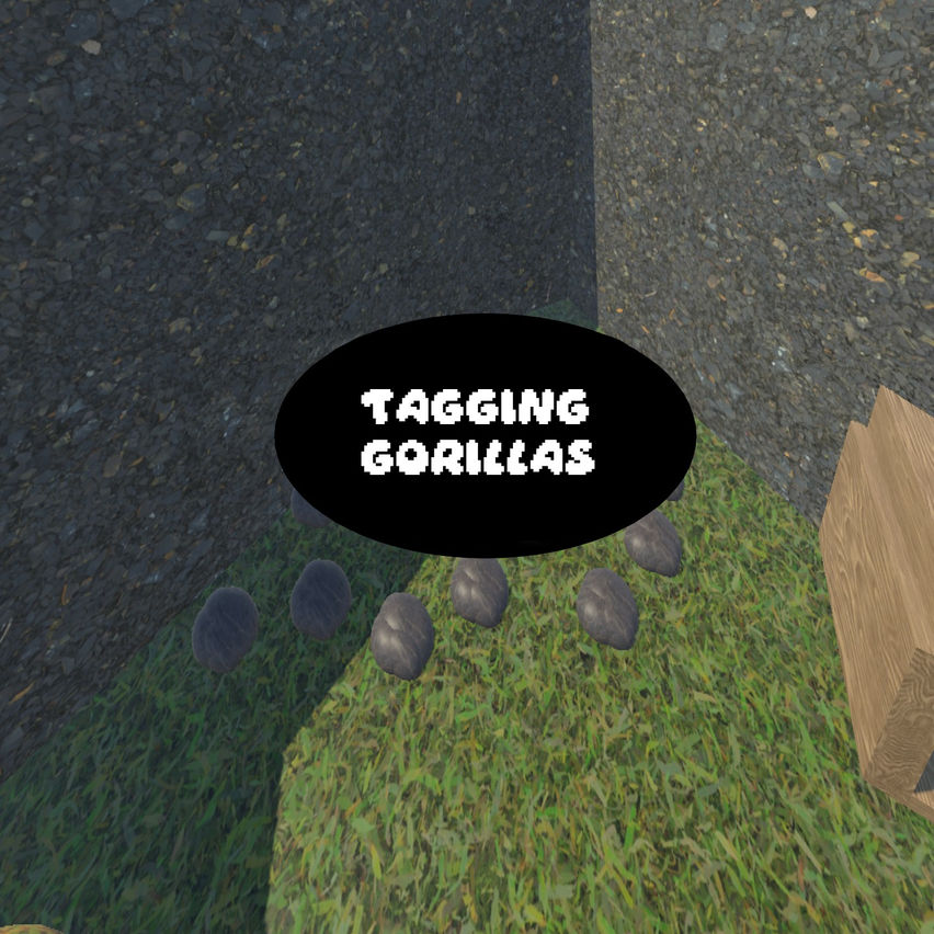 Tagging Gorillas