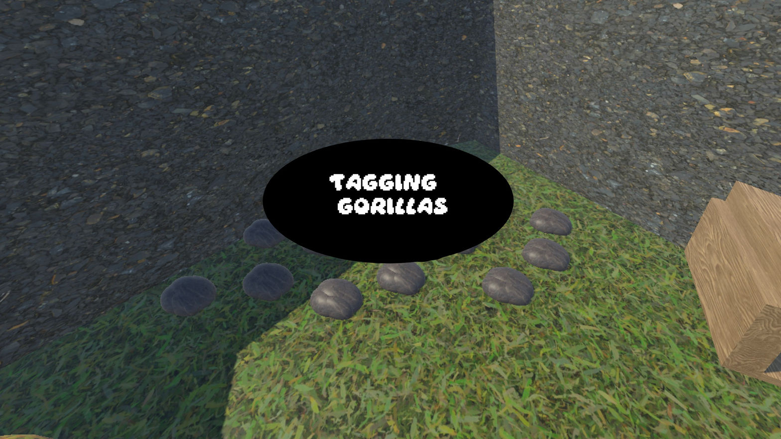 Tagging Gorillas