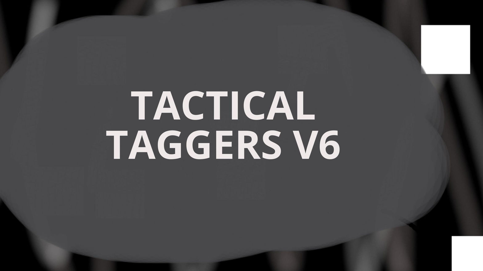TACTICAL TAGGERS V6