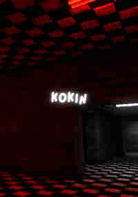 Kokin