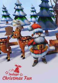 Indago Christmas Fun