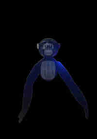 Monkey Kingdom
