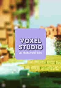 Voxel Studio: 3D Blocks Made Easy