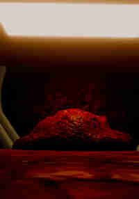 Static Replayed