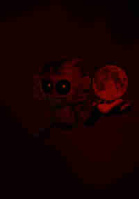 THE NIGHTFALLEN