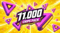 11,000 CHIPS PACK
