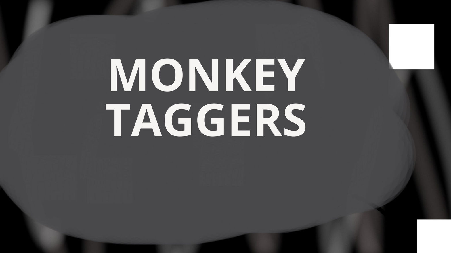MONKEY TAGGERS