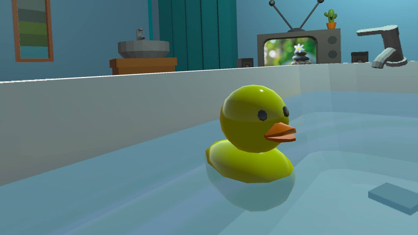 Bathtub Simulator