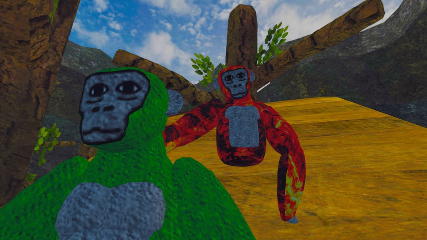 Maccoons 2