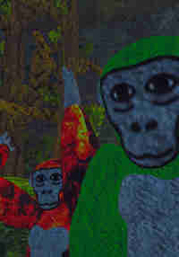 Maccoons 2