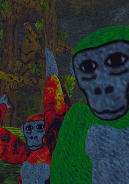 Maccoons 2