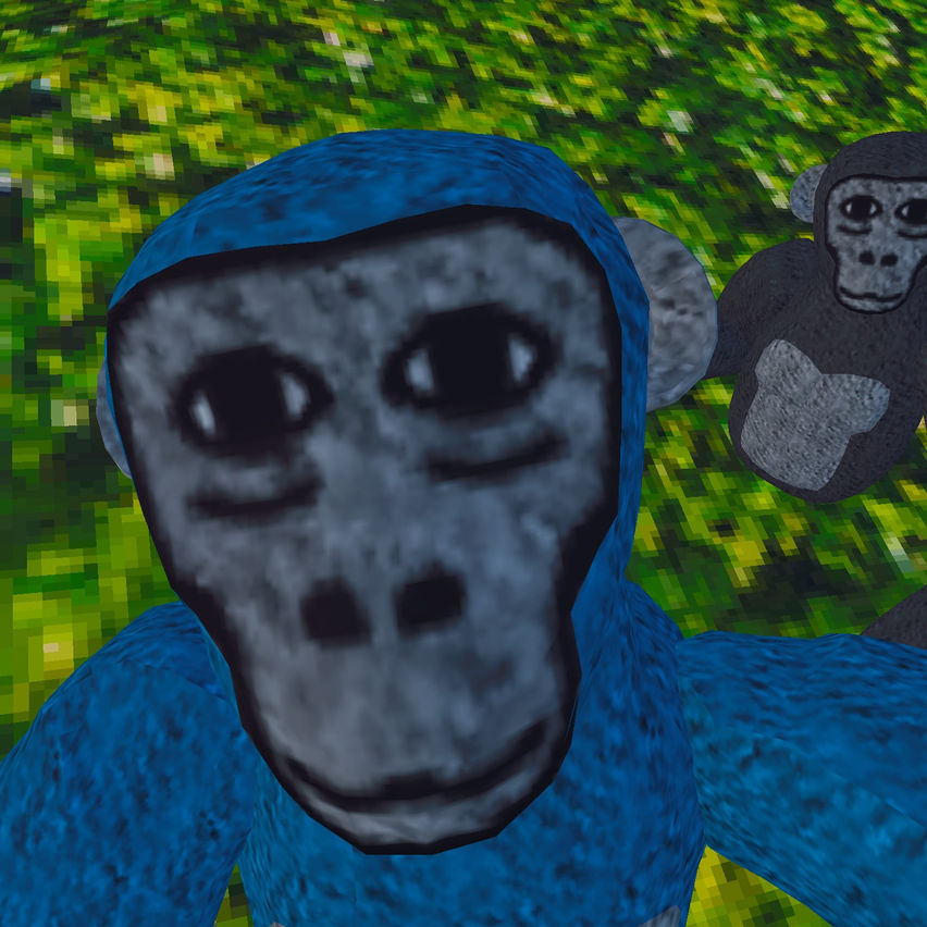 Maccoons 2