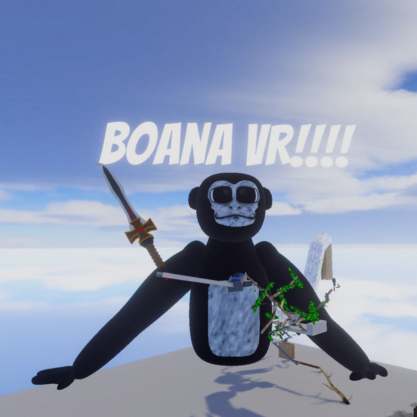 Boana VR