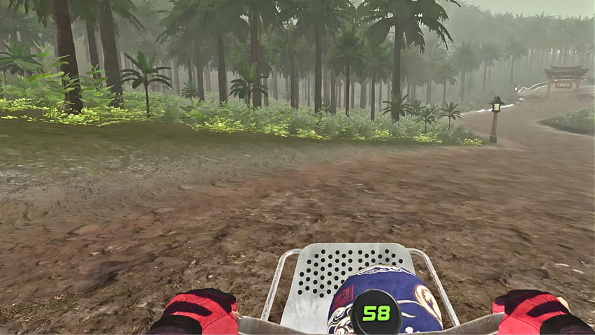 Mountain Bike Downhill - Asia