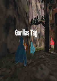 Oculus Tag