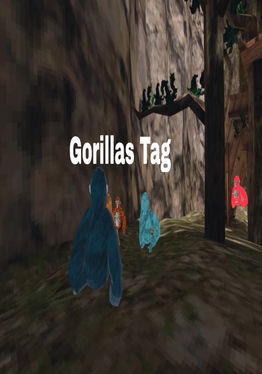Oculus Tag
