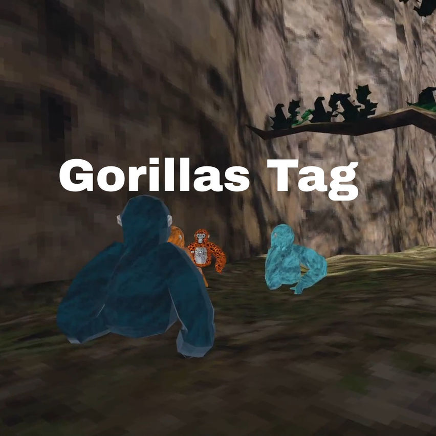 Oculus Tag