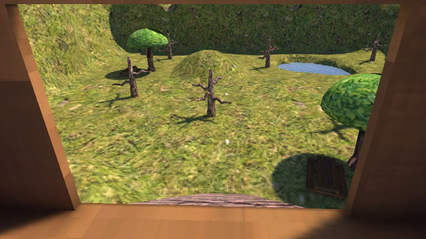 Turtle Hangout