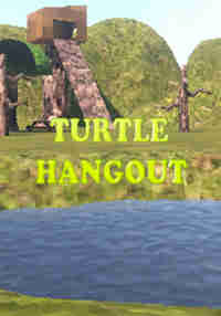 Turtle Hangout