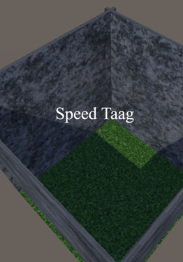 Speed Taag
