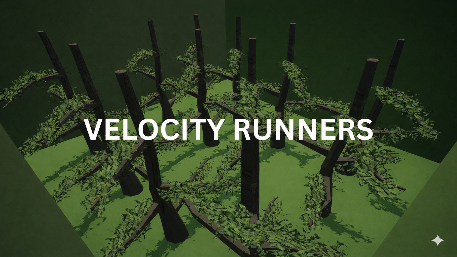 Velocity Runners