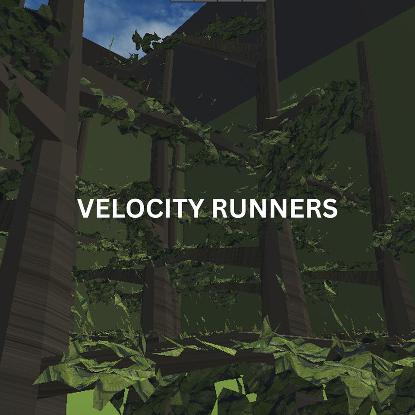 Velocity Runners