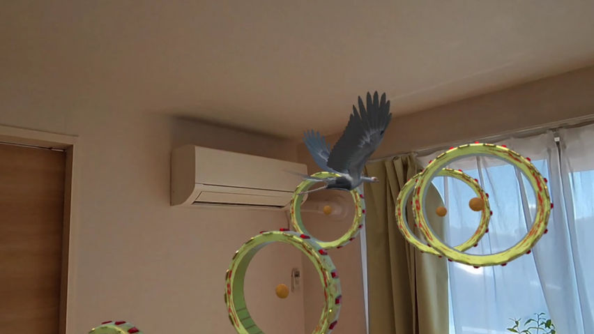 Avian Adventure MR